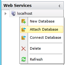 Attaching SQL Server Configuration Database Using the Web Services Provider