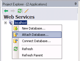 Attaching SQL Server Configuration Database Using the Web Services Provider